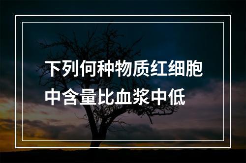 下列何种物质红细胞中含量比血浆中低