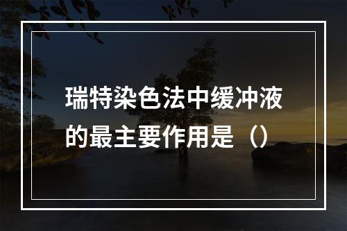 瑞特染色法中缓冲液的最主要作用是（）