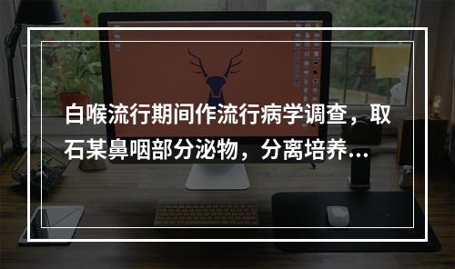 白喉流行期间作流行病学调查，取石某鼻咽部分泌物，分离培养到细