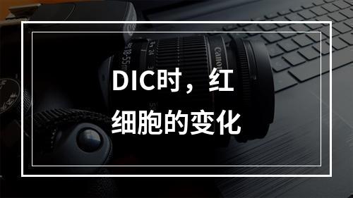 DIC时，红细胞的变化