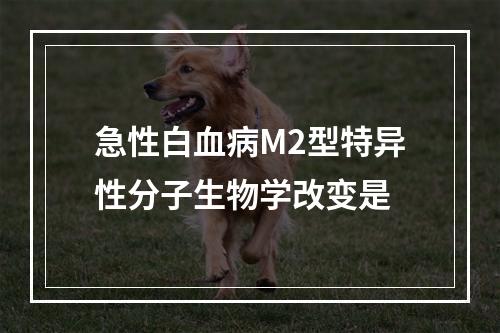 急性白血病M2型特异性分子生物学改变是