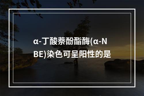 α-丁酸萘酚酯酶(α-NBE)染色可呈阳性的是