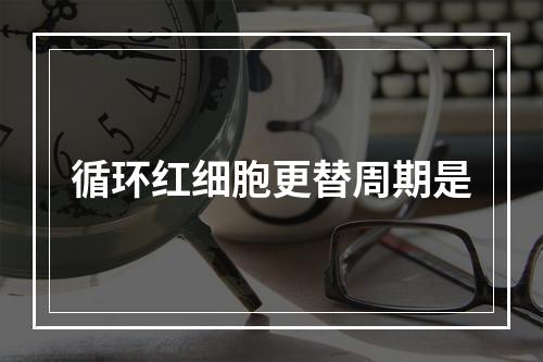 循环红细胞更替周期是