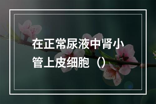 在正常尿液中肾小管上皮细胞（）