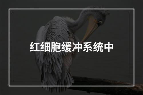 红细胞缓冲系统中