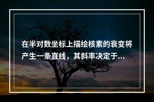 在半对数坐标上描绘核素的衰变将产生一条直线，其斜率决定于核素