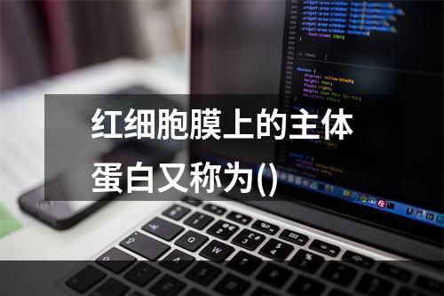 红细胞膜上的主体蛋白又称为()