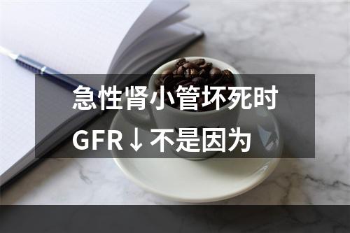 急性肾小管坏死时GFR↓不是因为