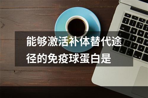 能够激活补体替代途径的免疫球蛋白是