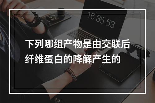 下列哪组产物是由交联后纤维蛋白的降解产生的