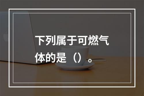 下列属于可燃气体的是（）。