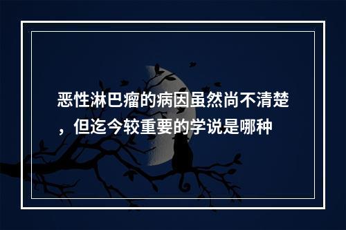 恶性淋巴瘤的病因虽然尚不清楚，但迄今较重要的学说是哪种