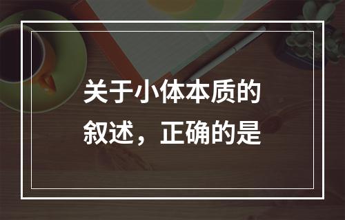 关于小体本质的叙述，正确的是