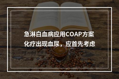 急淋白血病应用COAP方案化疗出现血尿，应首先考虑