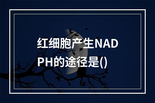 红细胞产生NADPH的途径是()