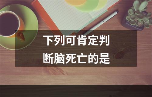 下列可肯定判断脑死亡的是