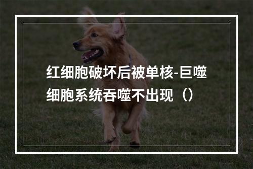 红细胞破坏后被单核-巨噬细胞系统吞噬不出现（）