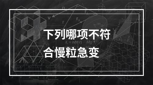 下列哪项不符合慢粒急变