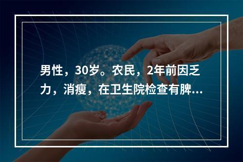 男性，30岁。农民，2年前因乏力，消瘦，在卫生院检查有脾肿大