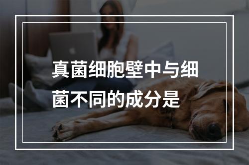 真菌细胞壁中与细菌不同的成分是