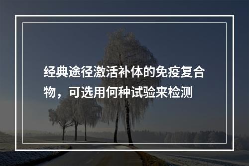 经典途径激活补体的免疫复合物，可选用何种试验来检测