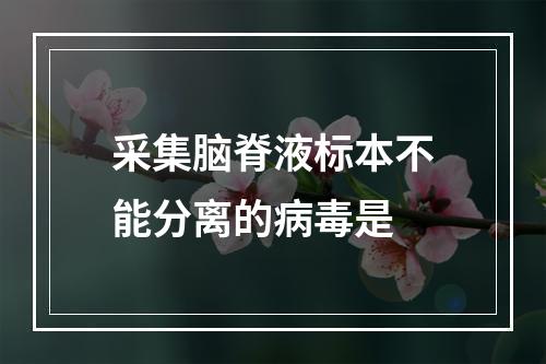 采集脑脊液标本不能分离的病毒是