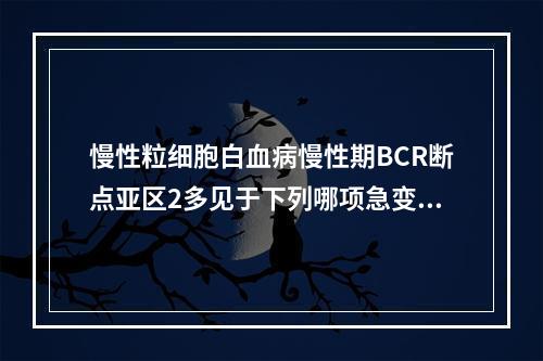 慢性粒细胞白血病慢性期BCR断点亚区2多见于下列哪项急变类型