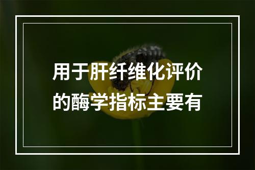 用于肝纤维化评价的酶学指标主要有