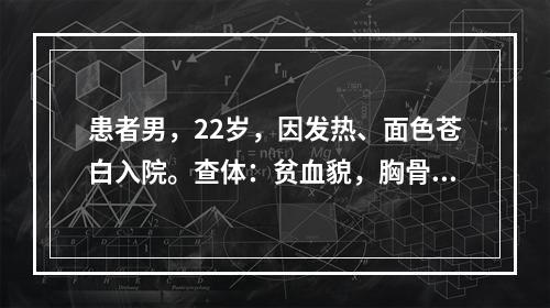 患者男，22岁，因发热、面色苍白入院。查体：贫血貌，胸骨压痛