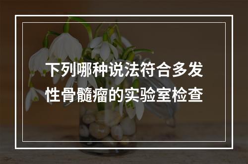 下列哪种说法符合多发性骨髓瘤的实验室检查