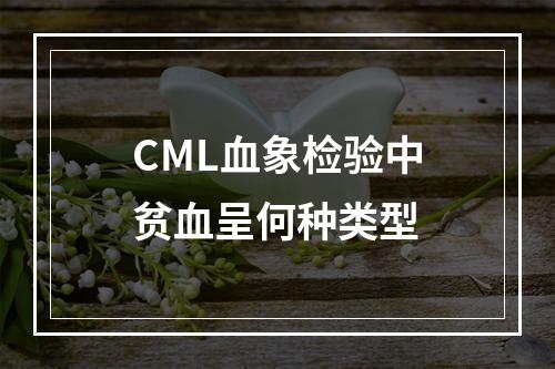 CML血象检验中贫血呈何种类型