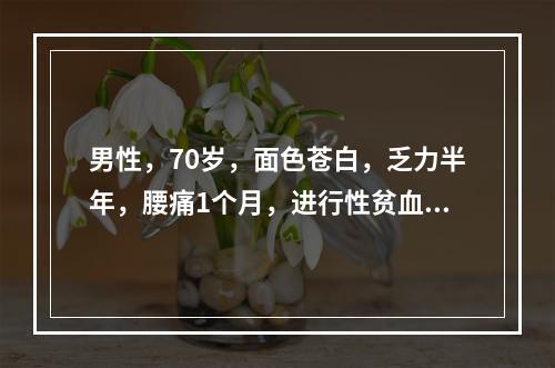 男性，70岁，面色苍白，乏力半年，腰痛1个月，进行性贫血1年