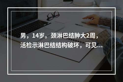 男，14岁。颈淋巴结肿大2周，活检示淋巴结结构破坏，可见里－