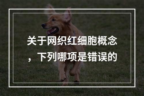 关于网织红细胞概念，下列哪项是错误的