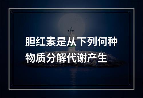 胆红素是从下列何种物质分解代谢产生