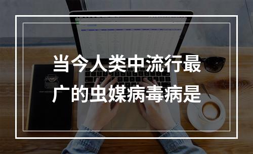 当今人类中流行最广的虫媒病毒病是