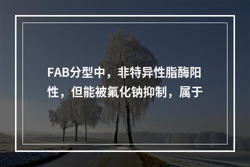 FAB分型中，非特异性脂酶阳性，但能被氟化钠抑制，属于