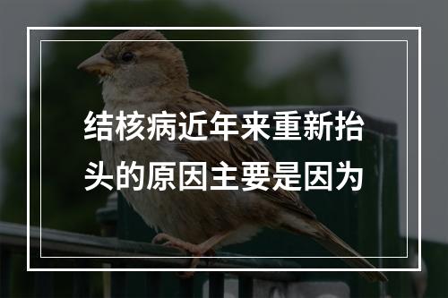 结核病近年来重新抬头的原因主要是因为