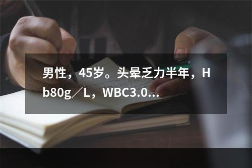 男性，45岁。头晕乏力半年，Hb80g／L，WBC3.0×1