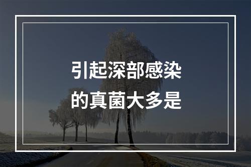 引起深部感染的真菌大多是