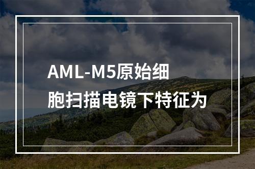 AML-M5原始细胞扫描电镜下特征为