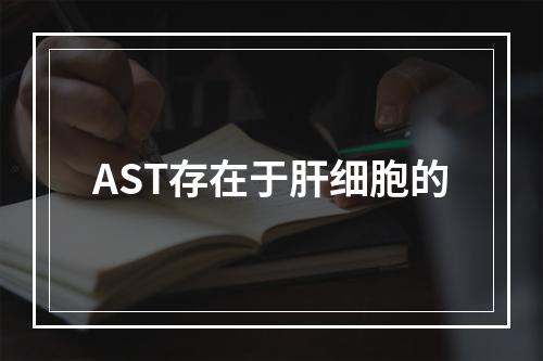 AST存在于肝细胞的