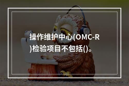 操作维护中心(OMC-R)检验项目不包括()。