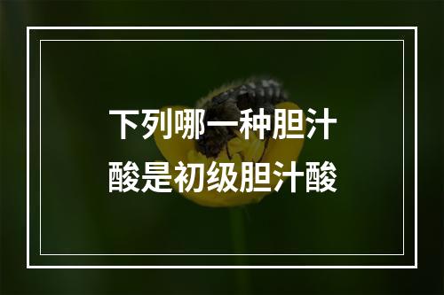 下列哪一种胆汁酸是初级胆汁酸