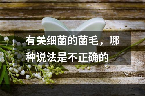 有关细菌的菌毛，哪种说法是不正确的