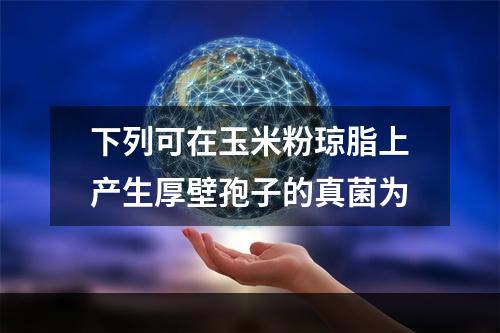 下列可在玉米粉琼脂上产生厚壁孢子的真菌为