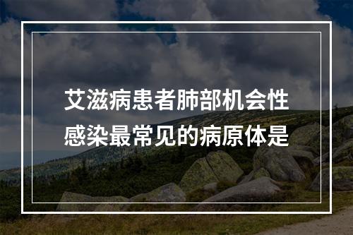 艾滋病患者肺部机会性感染最常见的病原体是