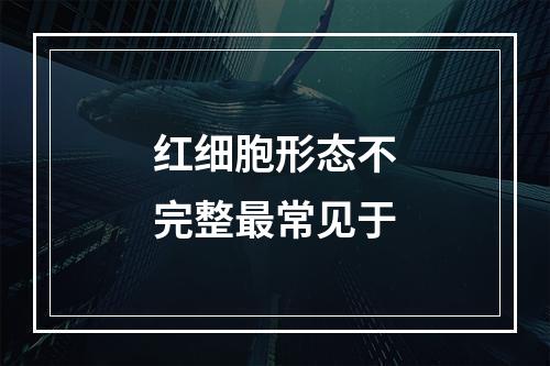 红细胞形态不完整最常见于