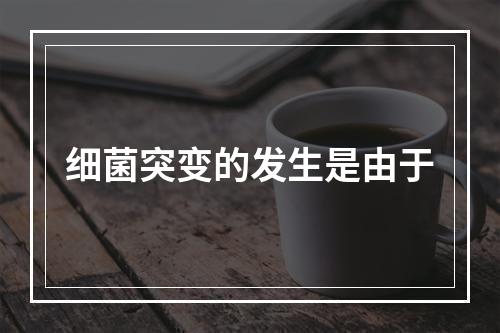 细菌突变的发生是由于