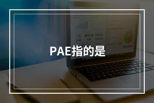 PAE指的是